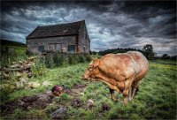 599 - THE STANDOFF - THORNDIKE JOHN - united kingdom